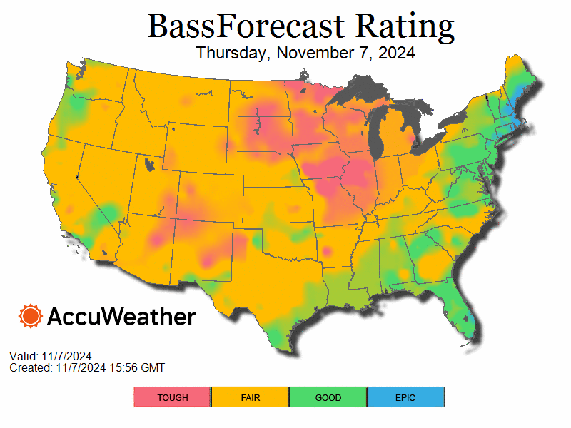 BassForecast BFR Rating