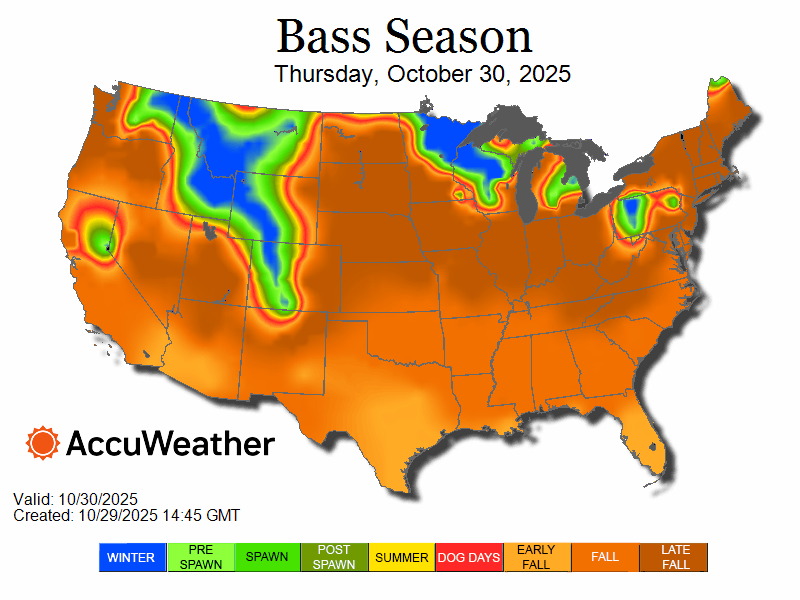 bass_spawn_loop-10.29.25