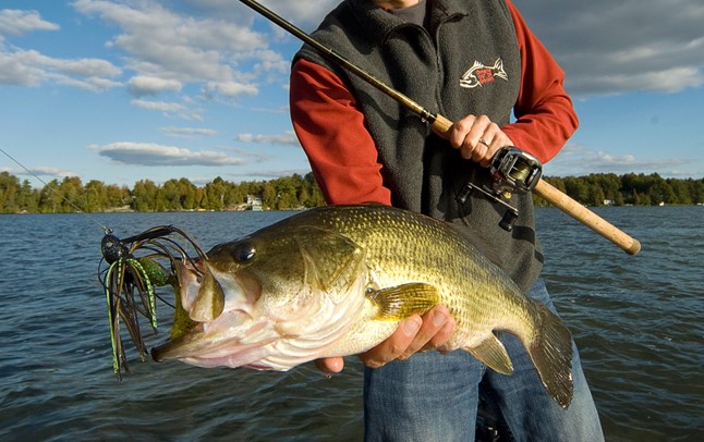 Person holding a large Bass fish still on hook in middle of water on boat