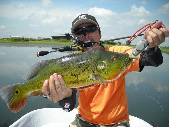 What Spinning Reel Size is Best for Bass Fishing?