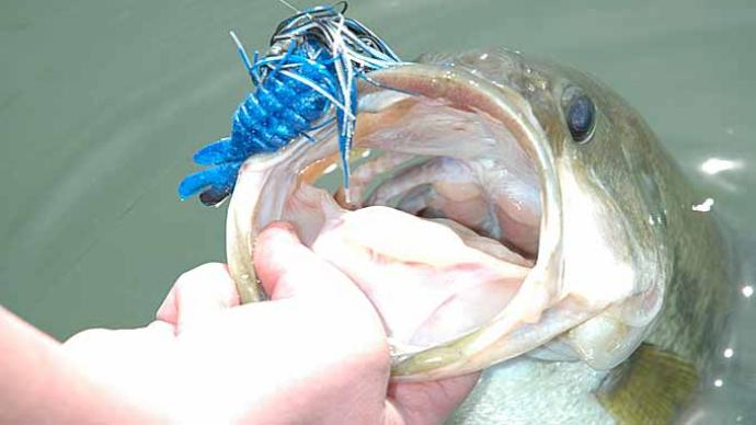 BEST FLIPPING BASS BAIT EVER?? Closer Look at theBig Bite