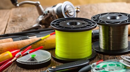 What are the Best Fishing Lines for Bass in 2024 (Top Picks