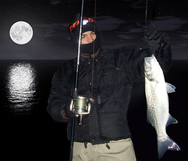 Man Bass fishing at night