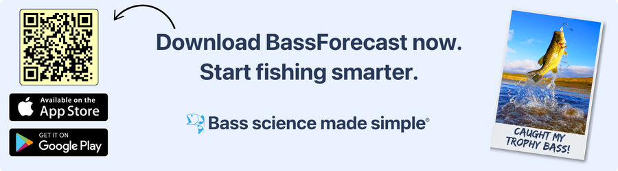 BassForecast Ratings