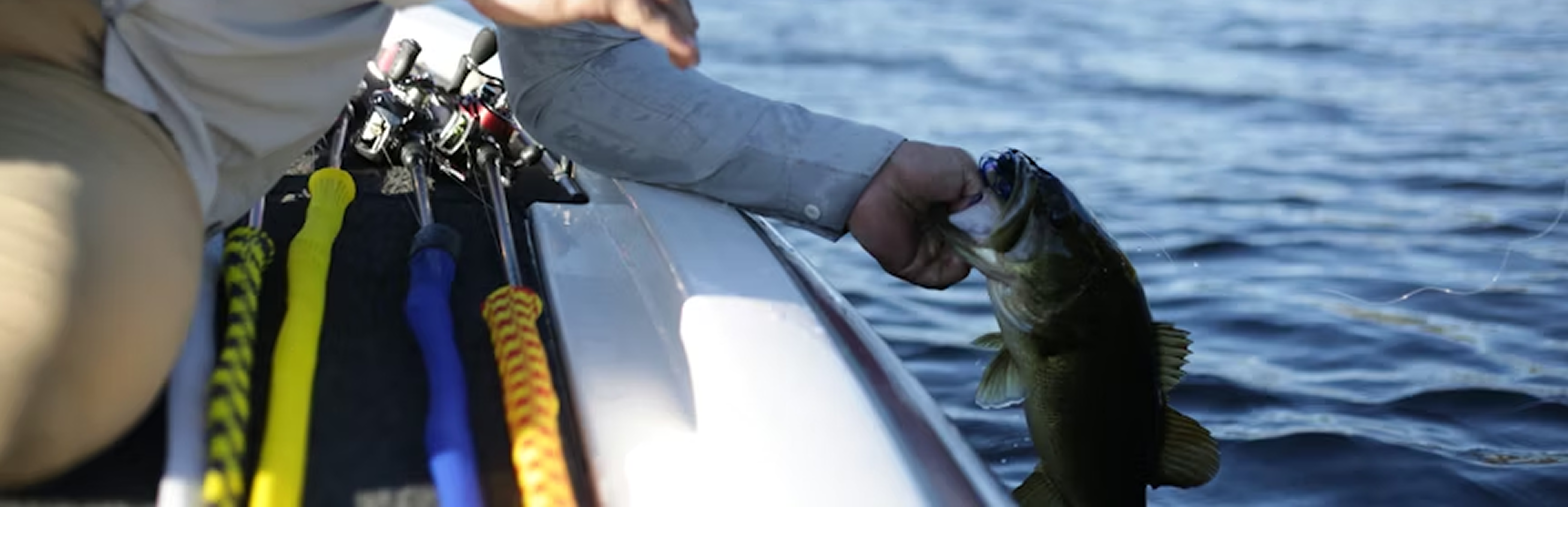 Fisherman