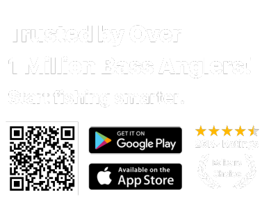 BassForecast Ratings