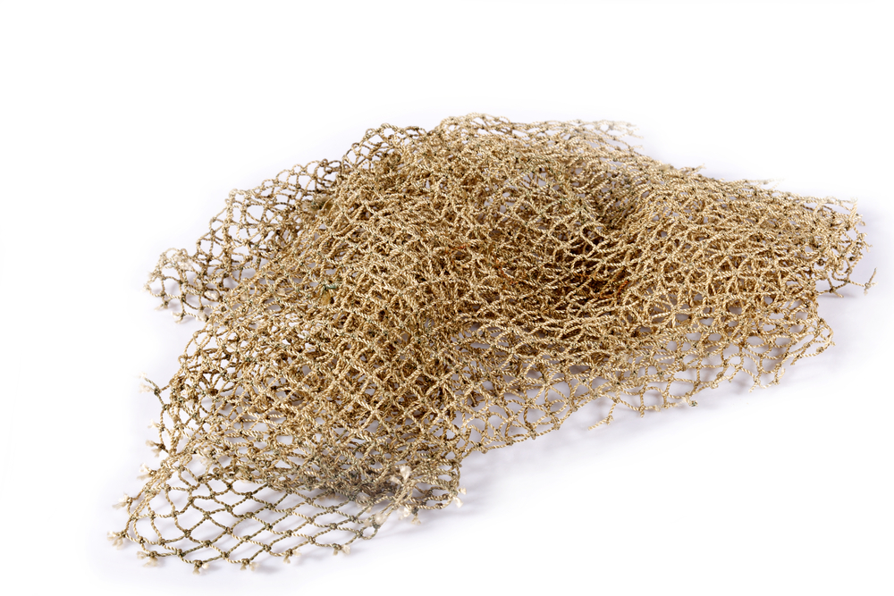 Evolution of Fishing Gear - Primitive Fishing Net