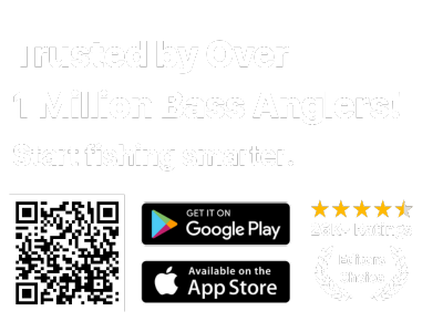 BassForecast Ratings