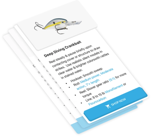 BassForecast premium feature sample of a tackle tip on how to use a certain kind of bait