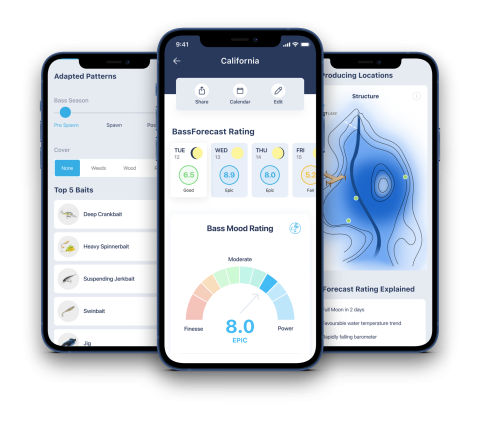 Barometric Pressure Affects on Fishing  BassForecast Nation's Top Bass  Fishing Forecast App