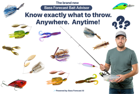 bait-advisor---blog-hero
