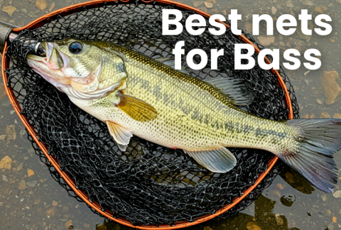 Best landing nets for bass fishing for anglers