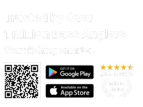 BassForecast Ratings