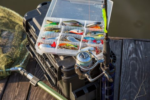 Choosing the Right Gear for Bass Fishing Tournaments.