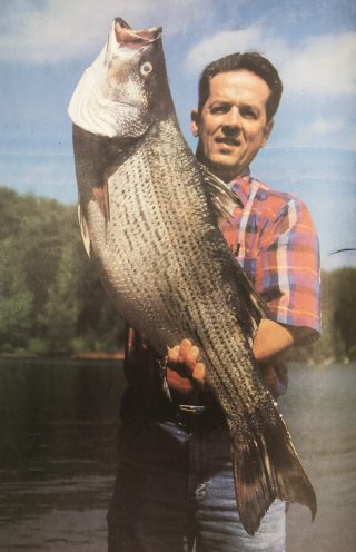 David Hobby set the Georgia bass fishing record for hybrid bass.
