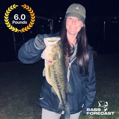 lunker_geberin_6lb
