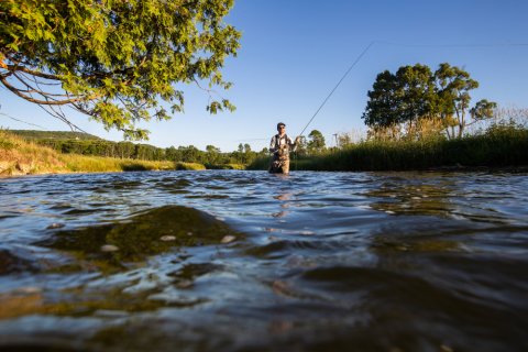 Check out these top 8 bass fishing records in Virginia.