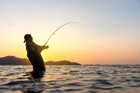 Check out the top 7 Georgia bass fishing records.