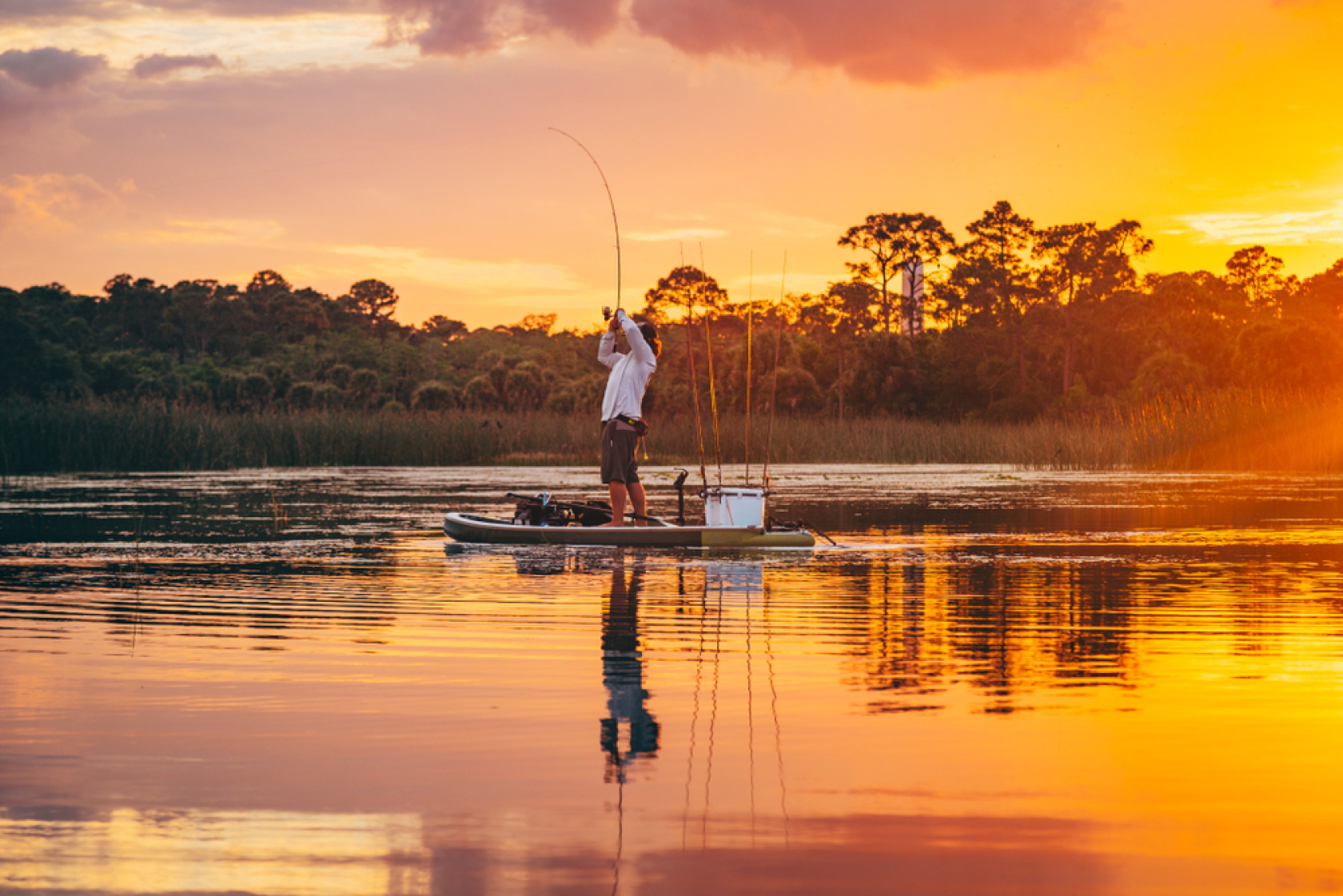 Here are the top 10 bass fishing apps.