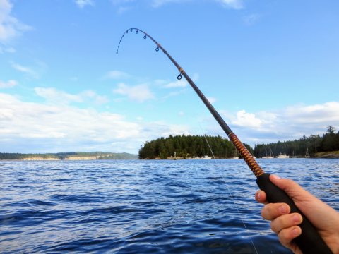 An angler fishing a point