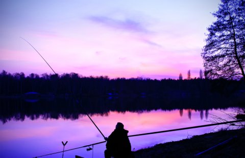 Bass Fishing at Night, Everything You Want to Know And More