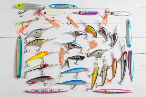 Top 7 Baits for Spring Bass Fishing [Expert's Choice]