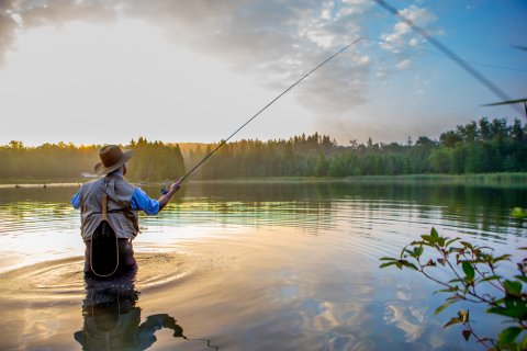 Man fishing in the lake and catch lots of fish without a trolling motor