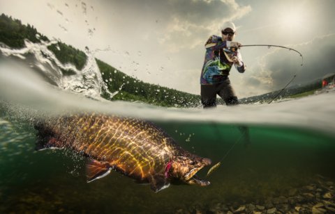 Man fishing huge fish in the lake