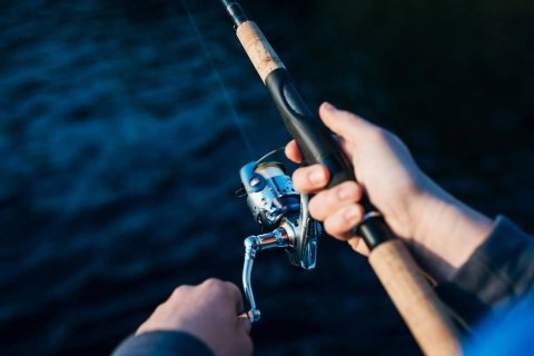 An angler holding a fishing rod for bass.