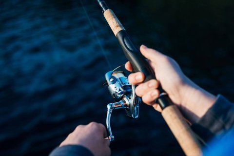 An angler fishing for bass using a Carolina rig.