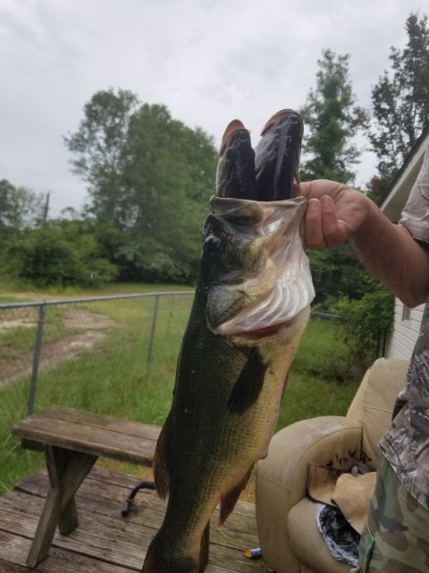 Ryan Beebe Story Catch