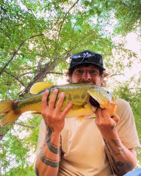 Joshua Sanders Story Catch