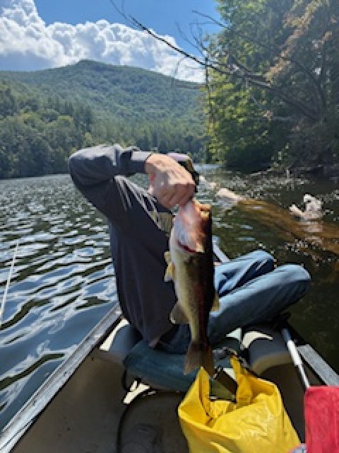 Oscar Roth Story Catch