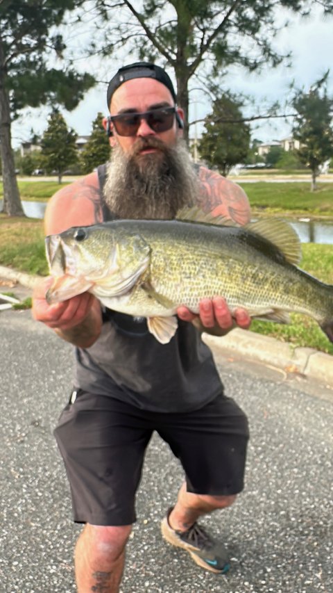 Tyler Beene Story Catch