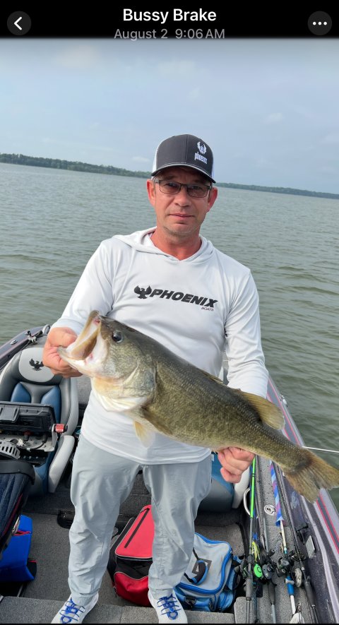 Michael Joy Story Catch