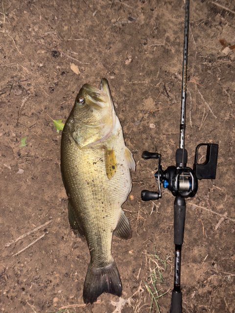 Diego Martinez Story Catch