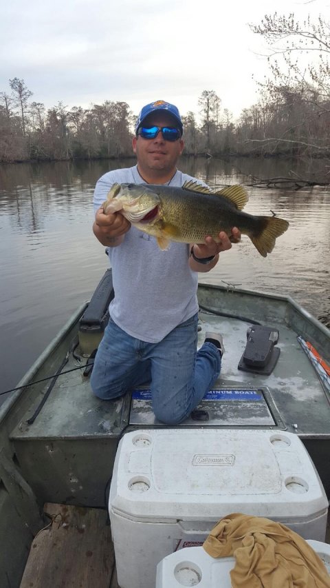 Brad Sapia Story Catch